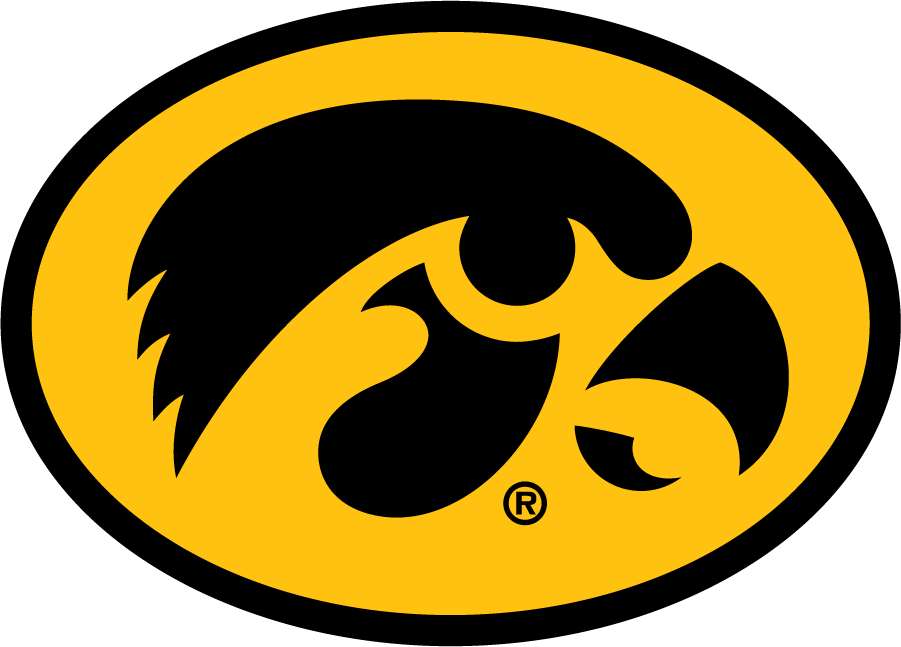 Iowa Hawkeyes 1993-Pres Alternate Logo diy iron on heat transfer